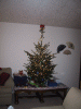 IMG_3146.JPG Sat Dec 20 09:21:23 2003