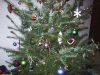 IMG_3147.JPG Wed Dec 17 23:42:56 2003