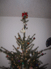 IMG_3148.JPG Sat Dec 20 09:21:30 2003