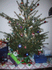 IMG_3149.JPG Sat Dec 20 09:21:34 2003