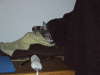 IMG_3220.JPG Tue Jan  6 17:11:14 2004
