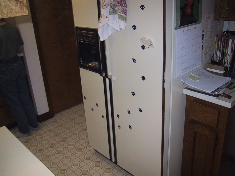 IMG_3404.JPG Sat Apr 17 18:26:26 2004