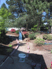 IMG_3445.JPG Sun May  2 09:23:28 2004