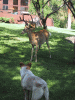 IMG_3616.JPG Sat Jul 17 08:27:40 2004