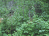 IMG_3619.JPG Sat Jul 17 15:41:44 2004