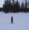 IMG_4119.JPG Tue Mar 22 17:14:37 2005