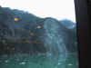 IMG_4268.JPG Wed Jun 22 07:44:42 2005