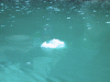 IMG_4274.JPG Wed Jun 22 08:09:30 2005