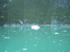 IMG_4286.JPG Wed Jun 22 08:30:48 2005