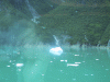 IMG_4287.JPG Wed Jun 22 08:31:52 2005