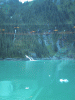IMG_4292.JPG Wed Jun 22 09:31:34 2005