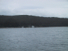 IMG_4307.JPG Wed Jun 22 17:44:52 2005