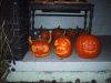 IMG_4561.JPG Fri Oct 28 21:59:26 2005
