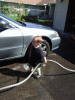 DSCF2213.JPG Sat Sep  8 13:06:14 2007