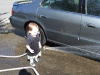 DSCF2218.JPG Sat Sep  8 13:06:52 2007