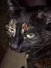DSCF2733.JPG Fri Oct 19 17:04:59 2007