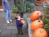 DSCF2889.JPG Sat Oct 27 16:06:44 2007