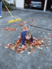 DSCF2985.JPG Sat Nov 10 15:36:57 2007