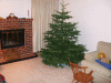 DSCF3133.JPG Sat Dec 15 17:58:48 2007