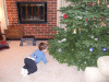 DSCF3174.JPG Sat Dec 15 19:24:18 2007