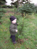 DSCF3124.JPG Sat Dec 15 15:33:55 2007