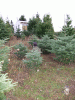 DSCF3126.JPG Sat Dec 15 15:54:45 2007