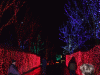 DSCF3207.JPG Wed Dec 19 18:44:44 2007