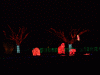 DSCF3222.JPG Wed Dec 19 18:50:50 2007