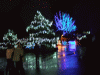 DSCF3233.JPG Wed Dec 19 18:57:38 2007