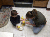 DSCF4606.JPG Wed Apr  2 16:53:16 2008