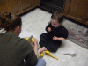 DSCF4609.JPG Wed Apr  2 16:53:42 2008