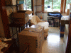 DSCF4823.JPG Thu May  8 15:23:16 2008