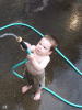 DSCF5021.JPG Fri Jun 20 16:43:08 2008
