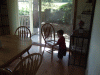 DSCF5199.JPG Mon Jul  7 15:41:36 2008