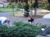 DSCF5377.JPG Tue Aug  5 16:50:26 2008