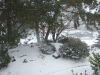 B&M_5221.JPG Sun Dec 14 15:47:42 2008