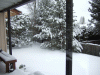 B&M_5300.JPG Mon Dec 22 14:14:58 2008
