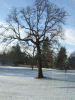 DSCF6027.JPG Mon Dec 15 09:00:40 2008