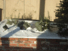 DSCF6034.JPG Mon Dec 15 09:01:38 2008