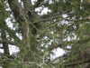 B&M_5417.JPG Sun Jan  4 13:04:28 2009