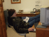 B&M_5420.JPG Tue Jan  6 18:27:10 2009