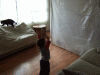 DSCF6763.JPG Sat Mar 21 14:57:10 2009