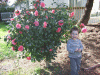 B&M_6120.JPG Thu Apr 16 16:57:10 2009