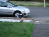 DSCF8114.JPG Fri Sep 18 17:47:22 2009