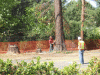 B&M_7230.JPG Mon Sep 14 11:35:52 2009