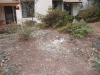 B&M_7774.JPG Sat Dec 12 10:21:24 2009