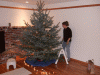 DSCF8707.JPG Sat Dec 12 10:19:36 2009