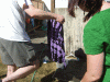 B&M_9042.JPG Sat Aug 14 16:04:08 2010