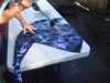 B&M_9066.JPG Sat Aug 14 19:03:02 2010