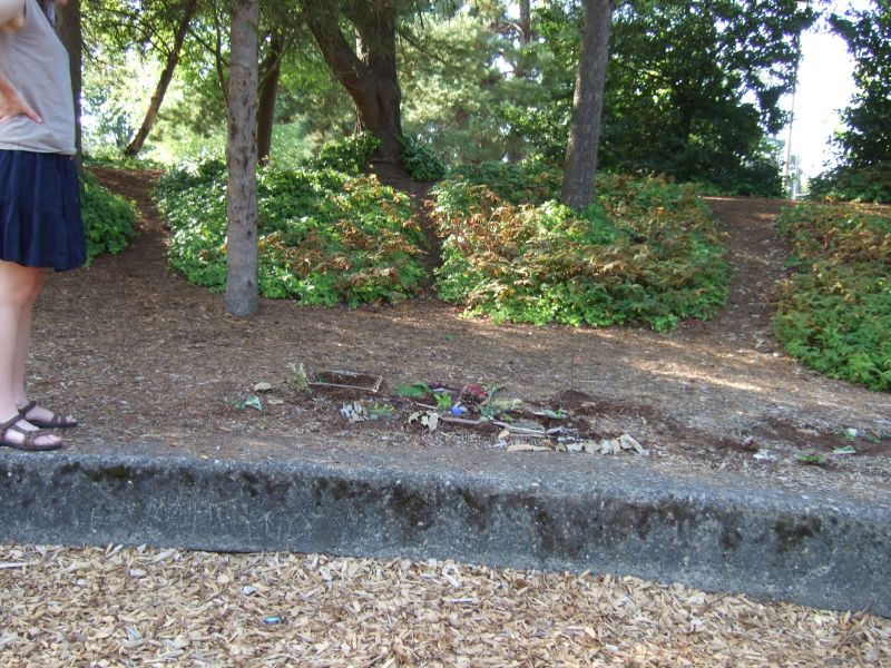 DSCF1753.JPG Sun Aug 28 17:13:16 2011